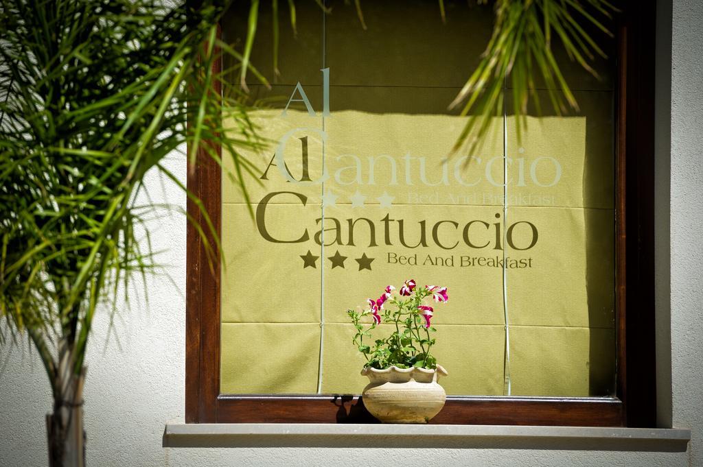 Al Cantuccio Bed and Breakfast Castelluzzo Buitenkant foto