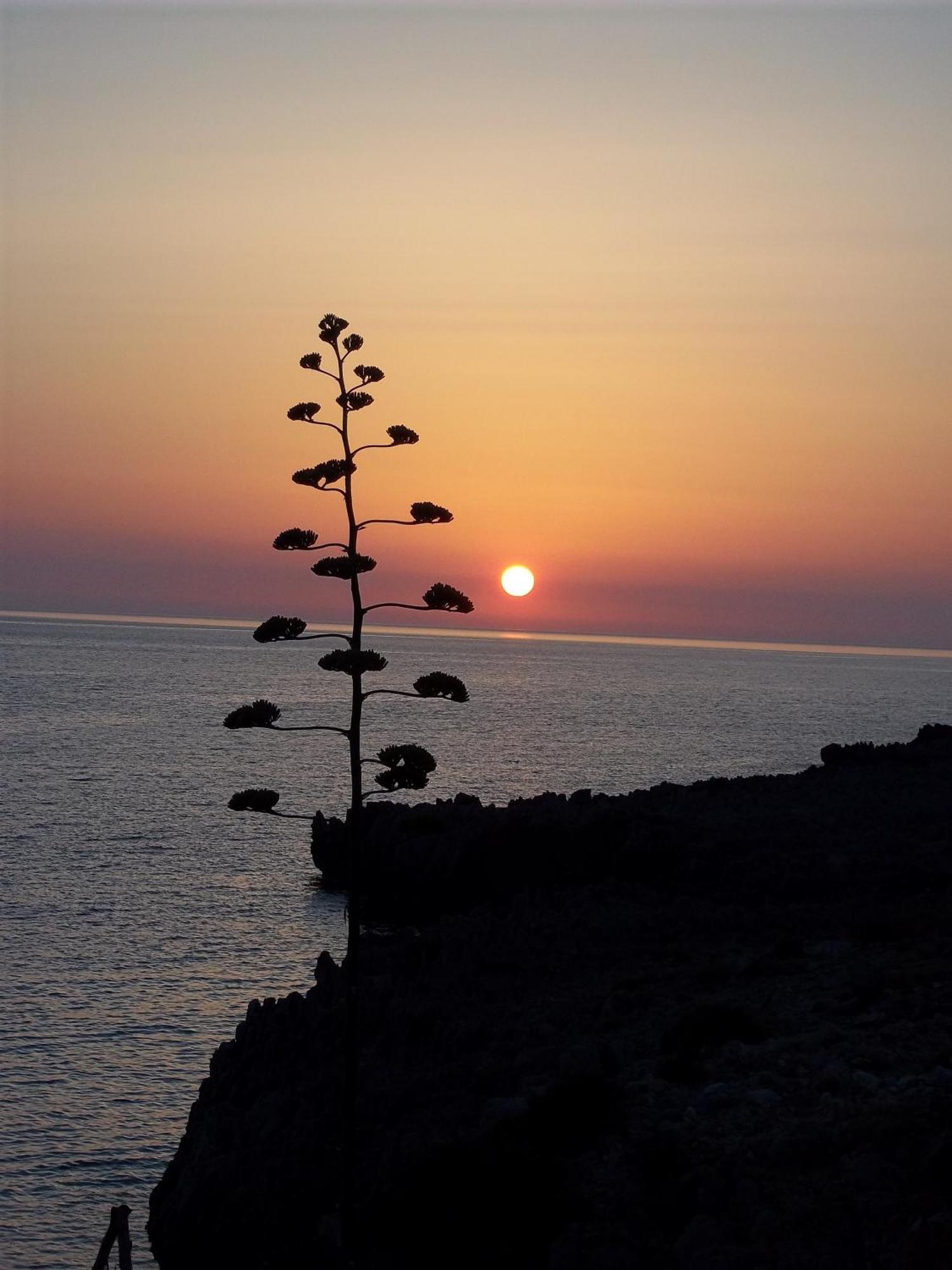 Al Cantuccio Bed and Breakfast Castelluzzo Buitenkant foto